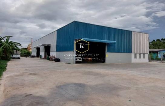 ������� �� Kong property