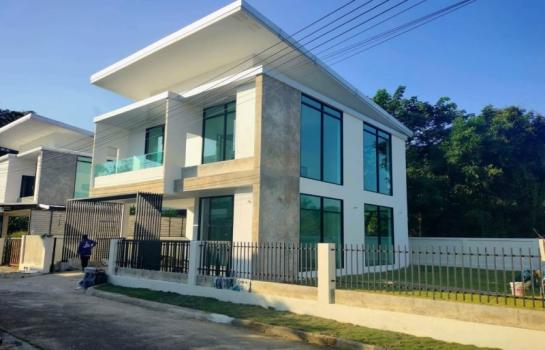 �ѹ��ᾧ �� northern1