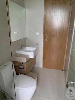 ����ҷ� �� incube