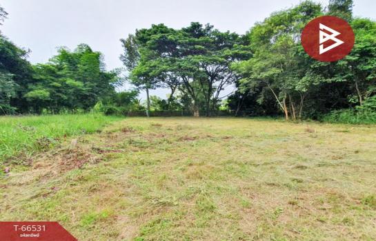 ��������ä�� �� The Best Property Agent