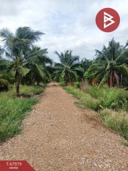 ��û�� �� The Best Property Agent