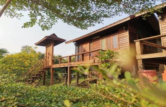 ������ �� northern1