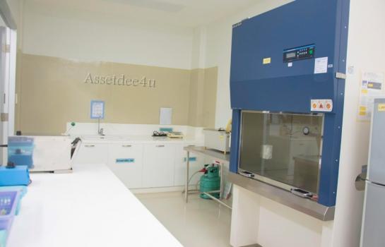 �Ҵ����� �� AssetD4U