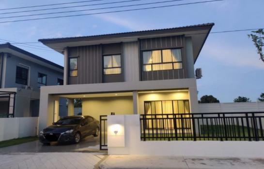 ������� �� B.Y.55