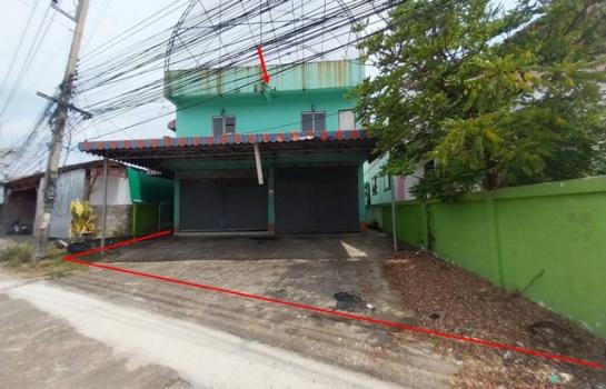 ����ӻҧ �� panaya.opalopal