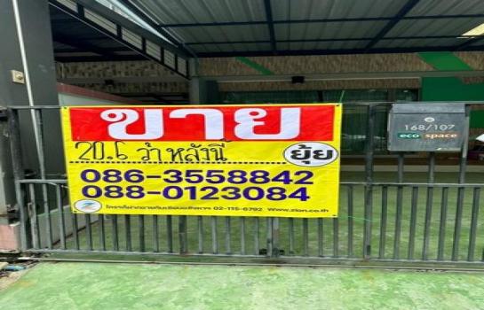 ��ا෾ �� zionasset1