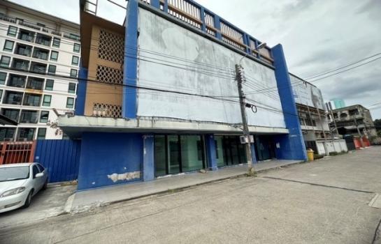 �س��� �ѹ����ط����