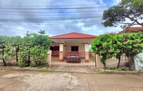 �Ң�ѭ �Ź�����