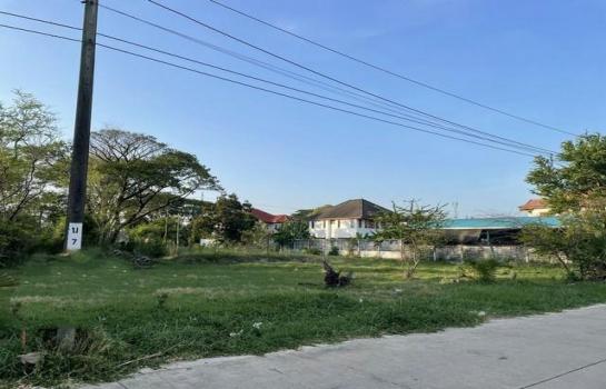 ��»����� �� coasset22