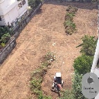 ���Թ �Ѳ��