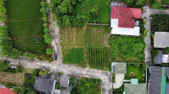 ������� �� onanong khumaphao