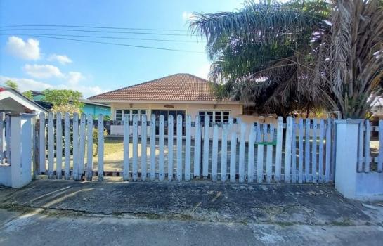 �Ӿٹ �� panaya.opalopal