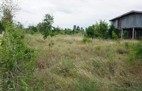 �ҡ �� zionasset1