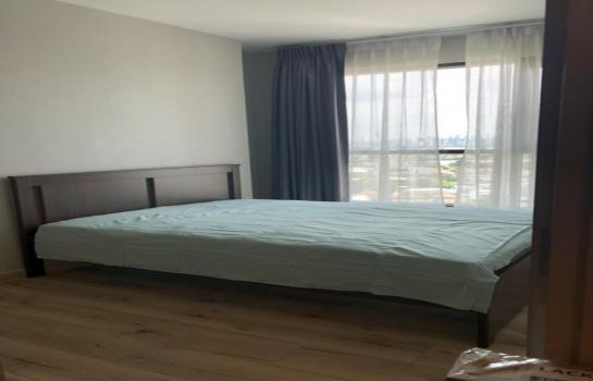 ��ا෾ �� M Property