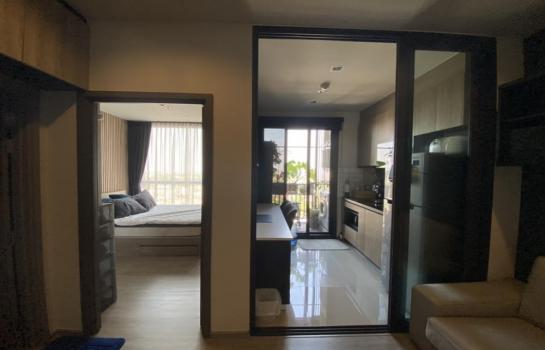 ��ا෾ �� M Property