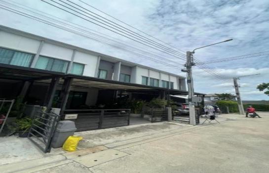 ��ºҧ�л� �� Nan