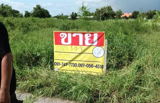 ��û�� �� zionasset1