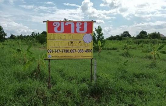 ��û�� �� zionasset1