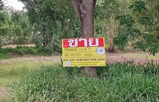 �����ä�� �� zionasset1