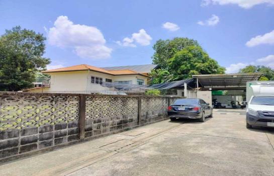 ���⢹� �� Bowling vinvestor