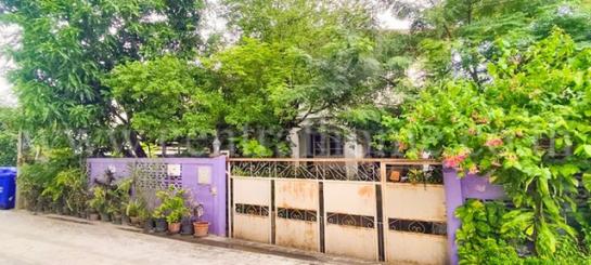 ���ͧ �� ����ѷ �繷��� ��� ���;������ �ӡѴ