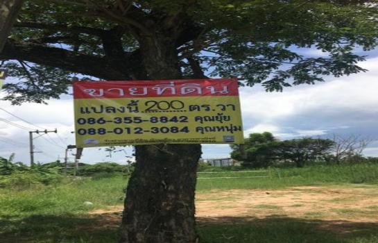 ��ا෾ �� zionasset1