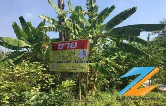 ��ا෾ �� zionasset1