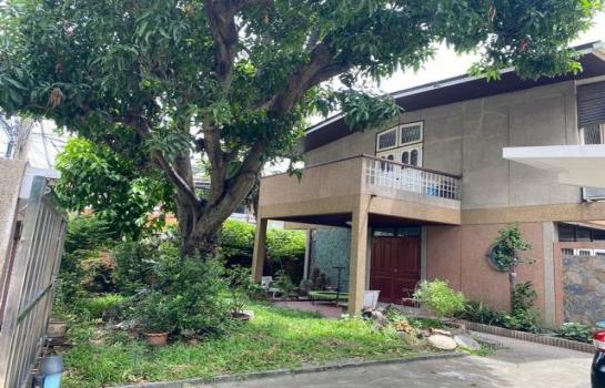 �Ѳ�� �� naorinpl