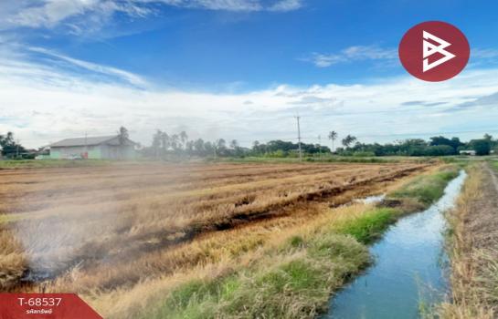 ��û�� �� The Best Property Agent