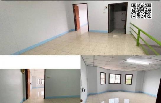 ��ҹ�� �� Noname2023