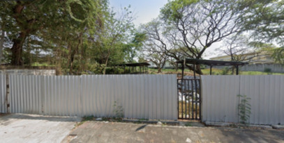 �ѧ�ͧ��ҧ �� HarrisonTH