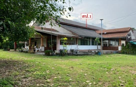 ���ͧ �Ӿٹ �� panaya.opalopal