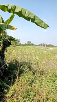 ����� �� onanong khumaphao