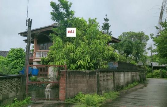 ����Ӿٹ �� compos2566