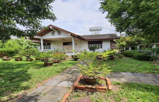 ��º�ҹ 65,000,000 �ҷ