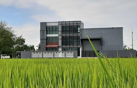 ���١�� �� AssetD4U