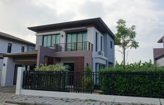 �оҹ�٧ �� AssetD4U