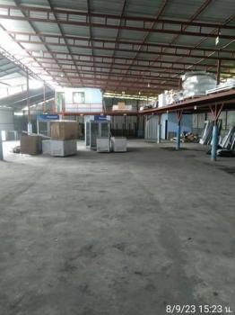 �ѹ����� �� PL BUA