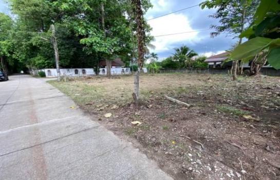 ������ �� northern1