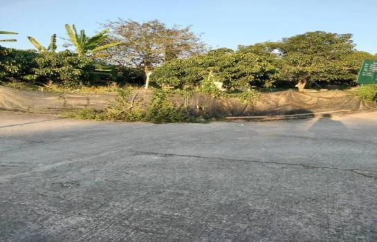 �ҧ�� �� onanong khumaphao