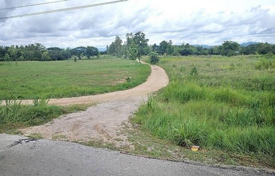 ����ӻҧ �� zionasset1