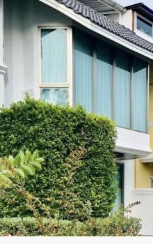 �Ѳ�� �� khunnan56