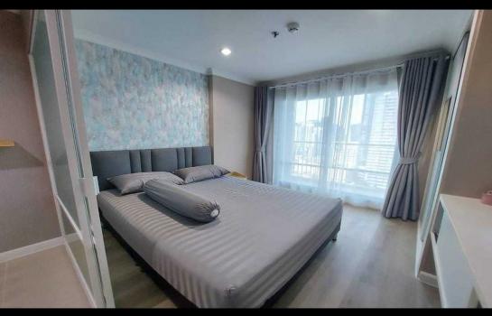 ���¢�ҧ �� M Property