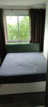 �͹� ���ͧ