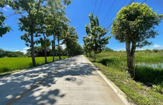 �ѹ��ᾧ �� northern1