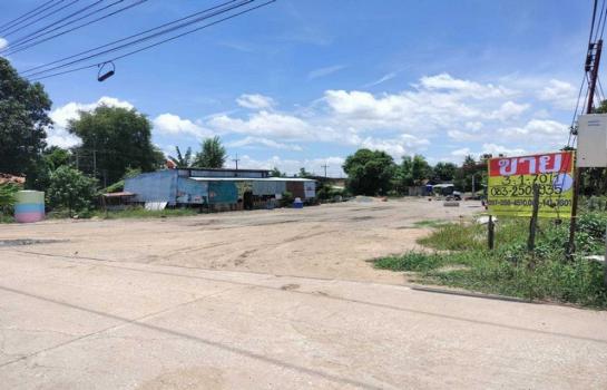 ������ �� zionasset1