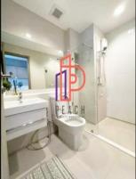 �͹� �Ѳ�� 47 ���ҧ����