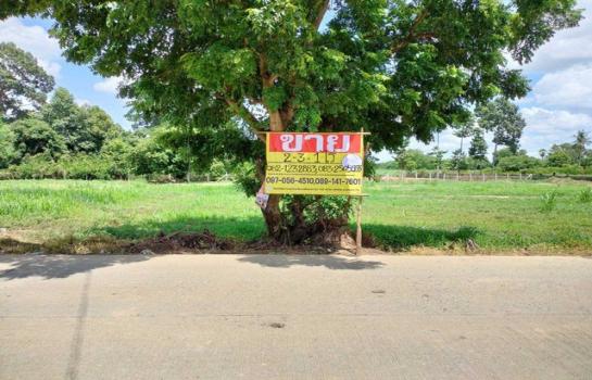 ������ �� zionasset1