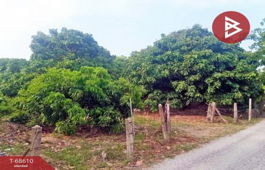 �Ӿٹ �� The Best Property Agent