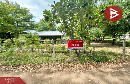 ����Ҫ���� �� The Best Property Agent